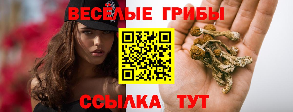 Нижнеудинск  Псилоцибиновые грибы MAGIC MUSHROOMS  купить   Вход с VPN  Псилоцибиновые грибы MAGIC MUSHROOMS 